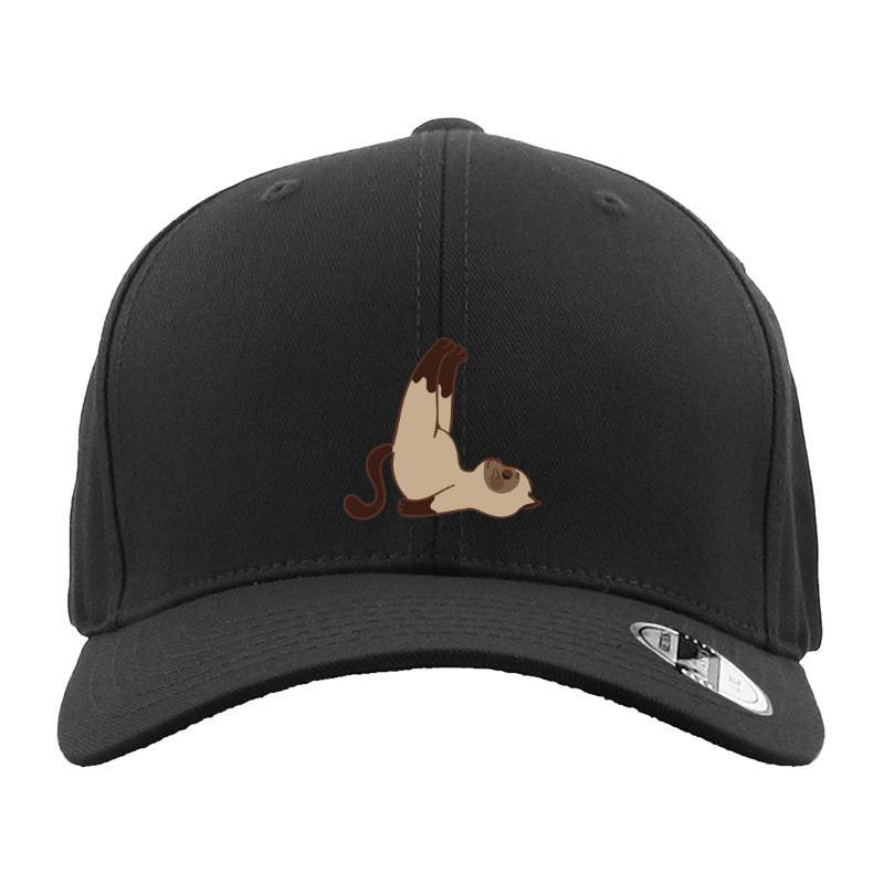 Cat Hat