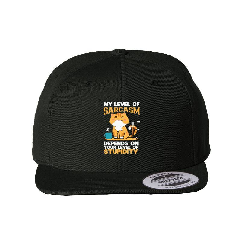 Sarcasm Snapback Cap