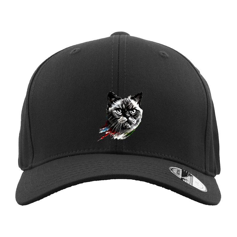 My Cat Hat