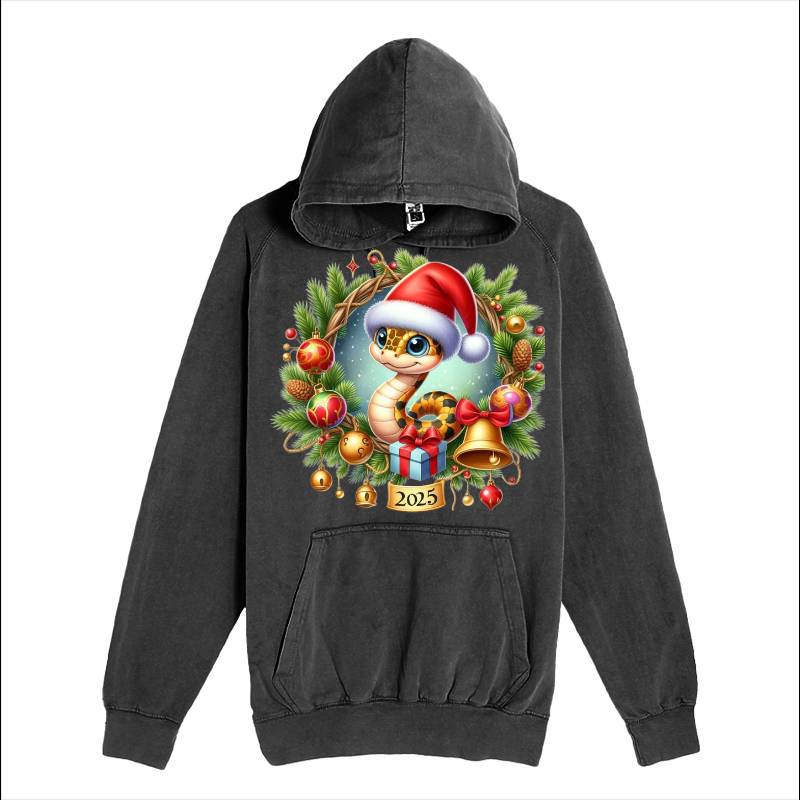 2025 Snake Year Hoodie