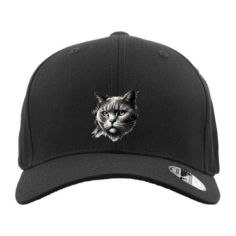 My Cat Hat