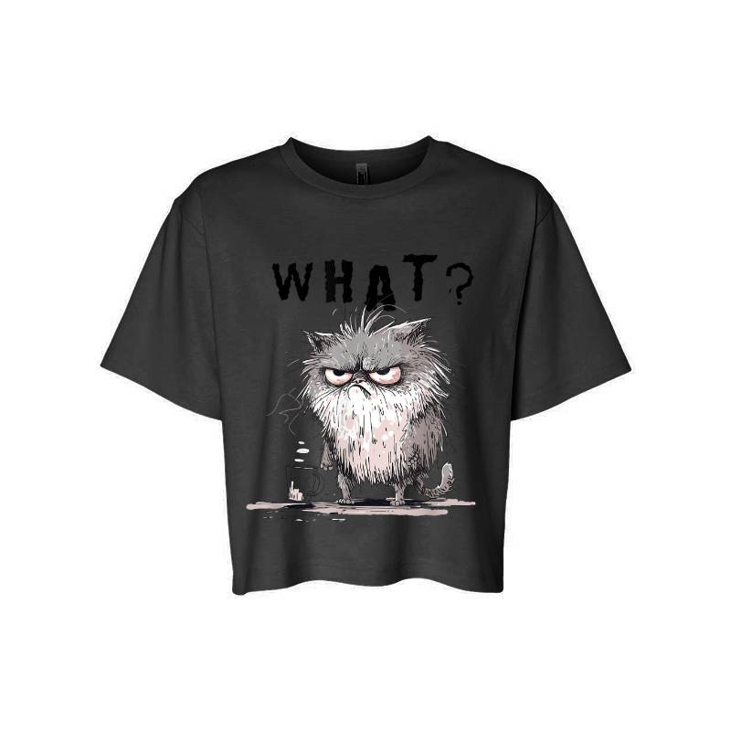 Funny Cat Coffee Sarcastic Meme Frazzled Cat Debie T-Shirt