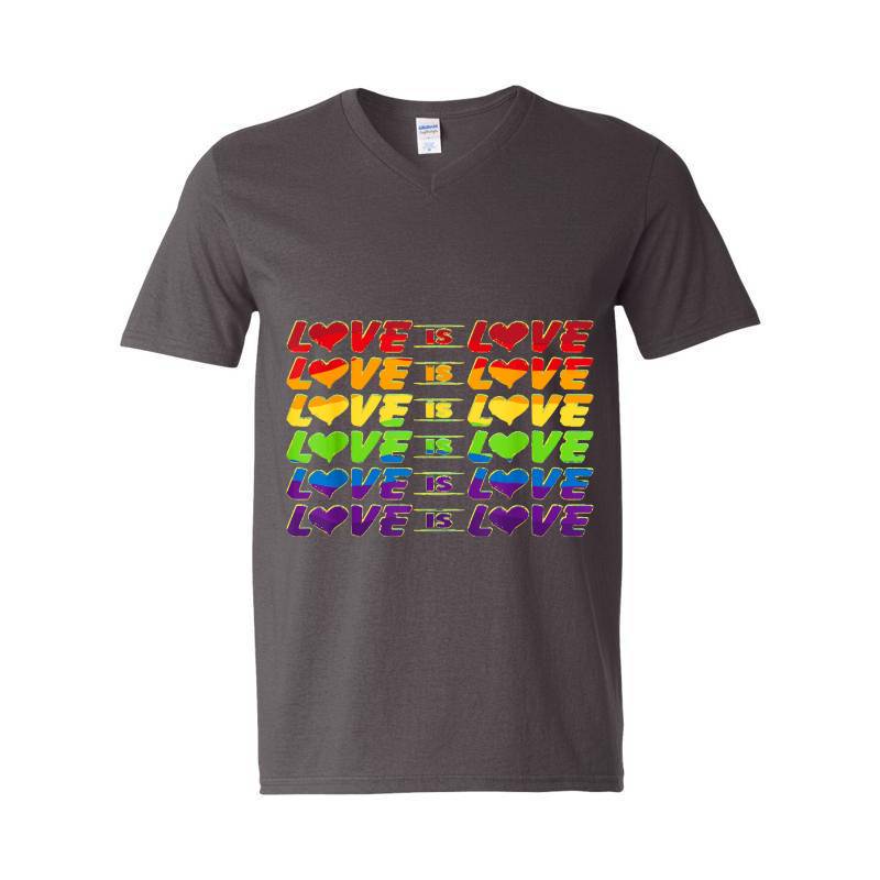 Decoration Love Is Love V-Neck T-Shirt