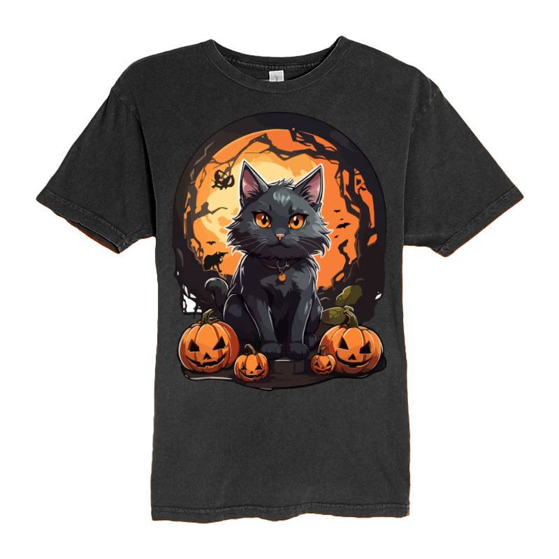 Black Cat With Halloween Ornament T-Shirt