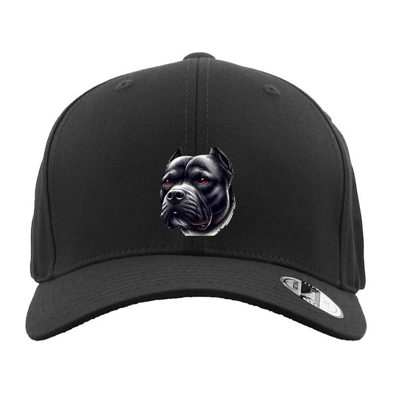 My Dog Hat