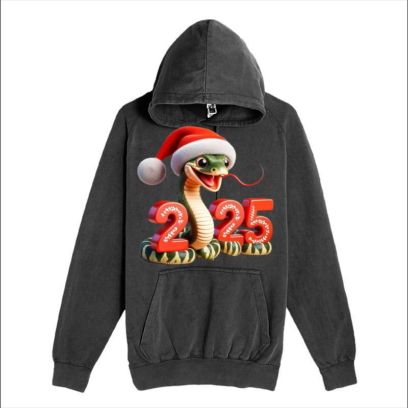2025 Christmas Hoodie