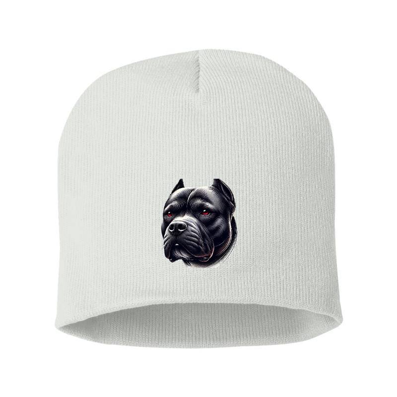 My Dog Beanie