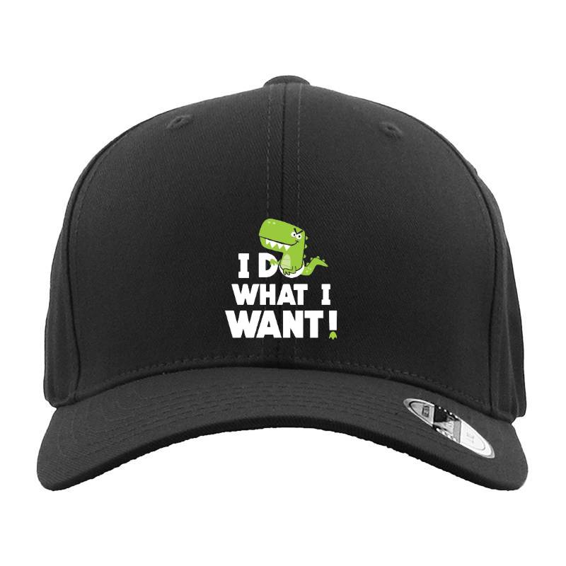 I Do What I Want Hat