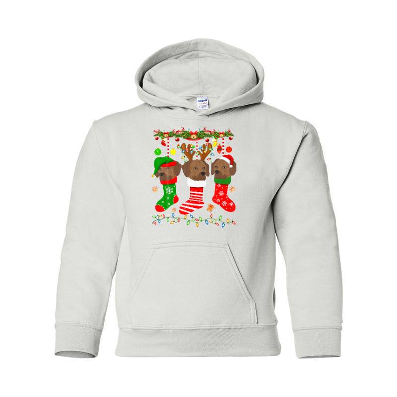 Christmas Sock Youth Hoodie