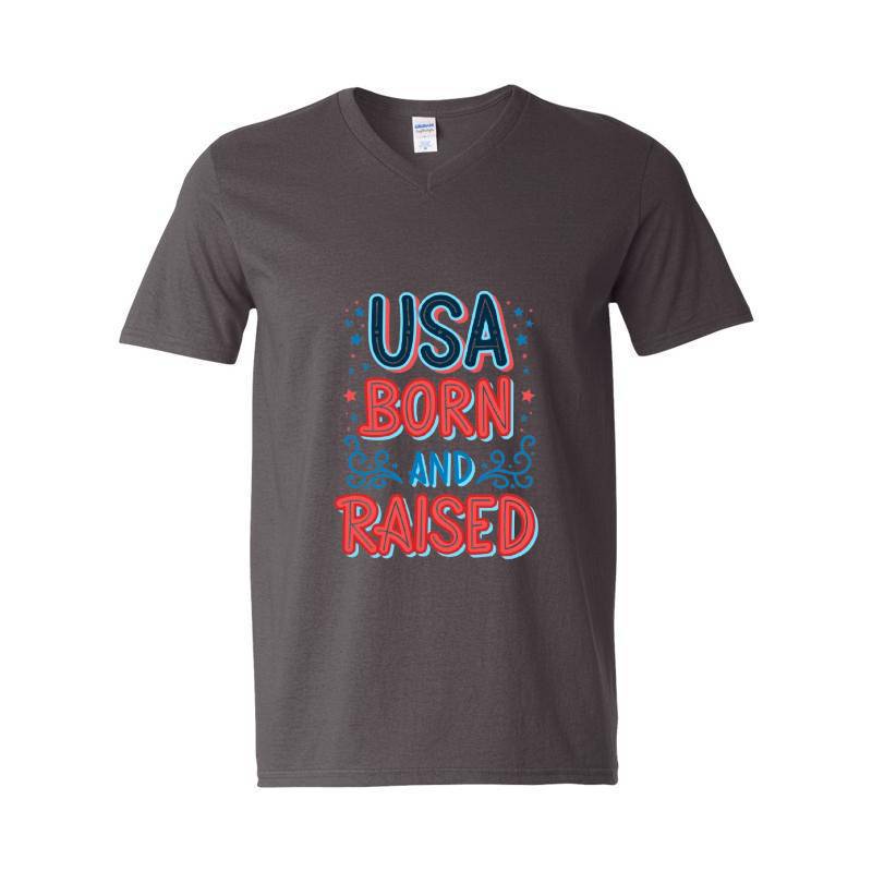 America V-Neck T-Shirt