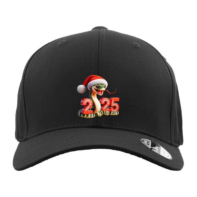 2025 Christmas Hat