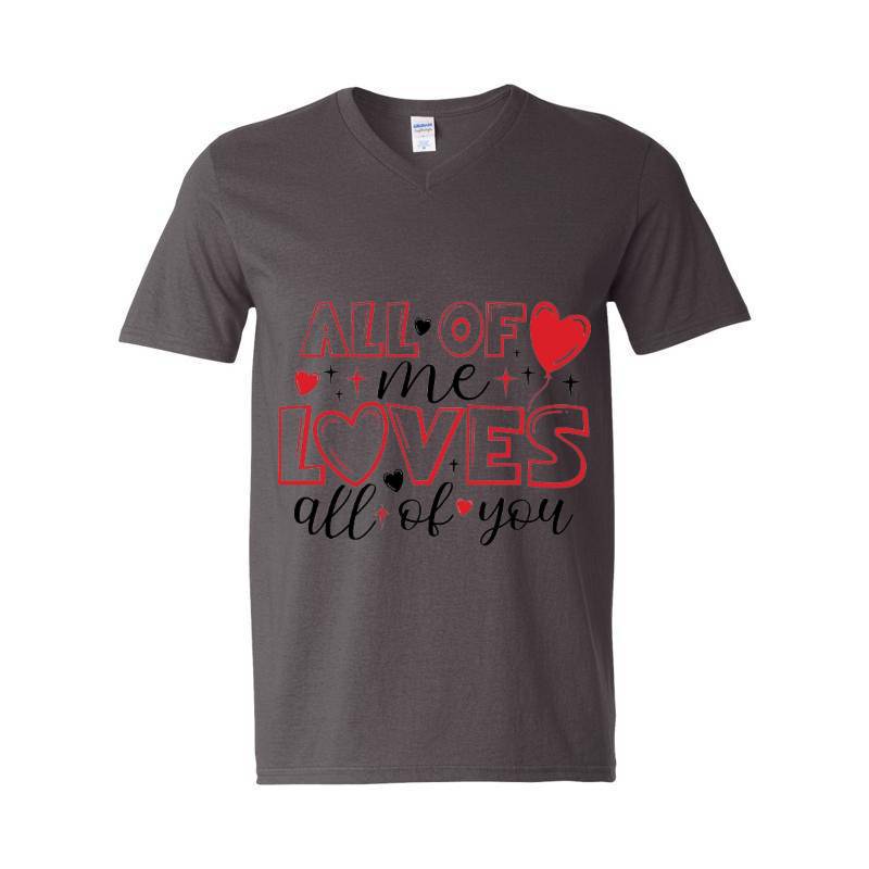 Valentine's Day V-Neck T-Shirt