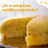 Tortilla de patata en Tortillas y +, San José de la Rinconada
