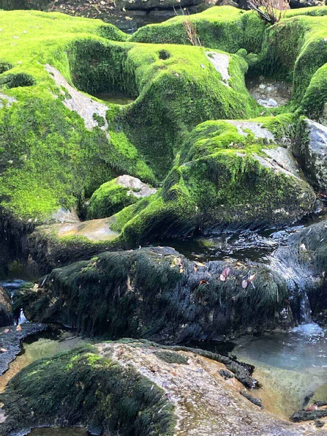 Background blur