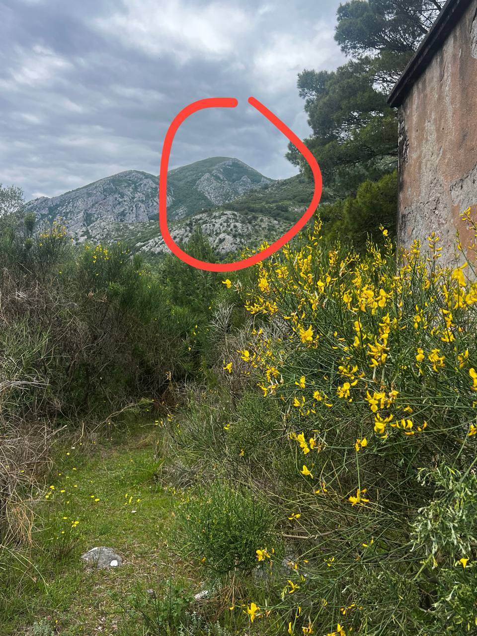 Background blur