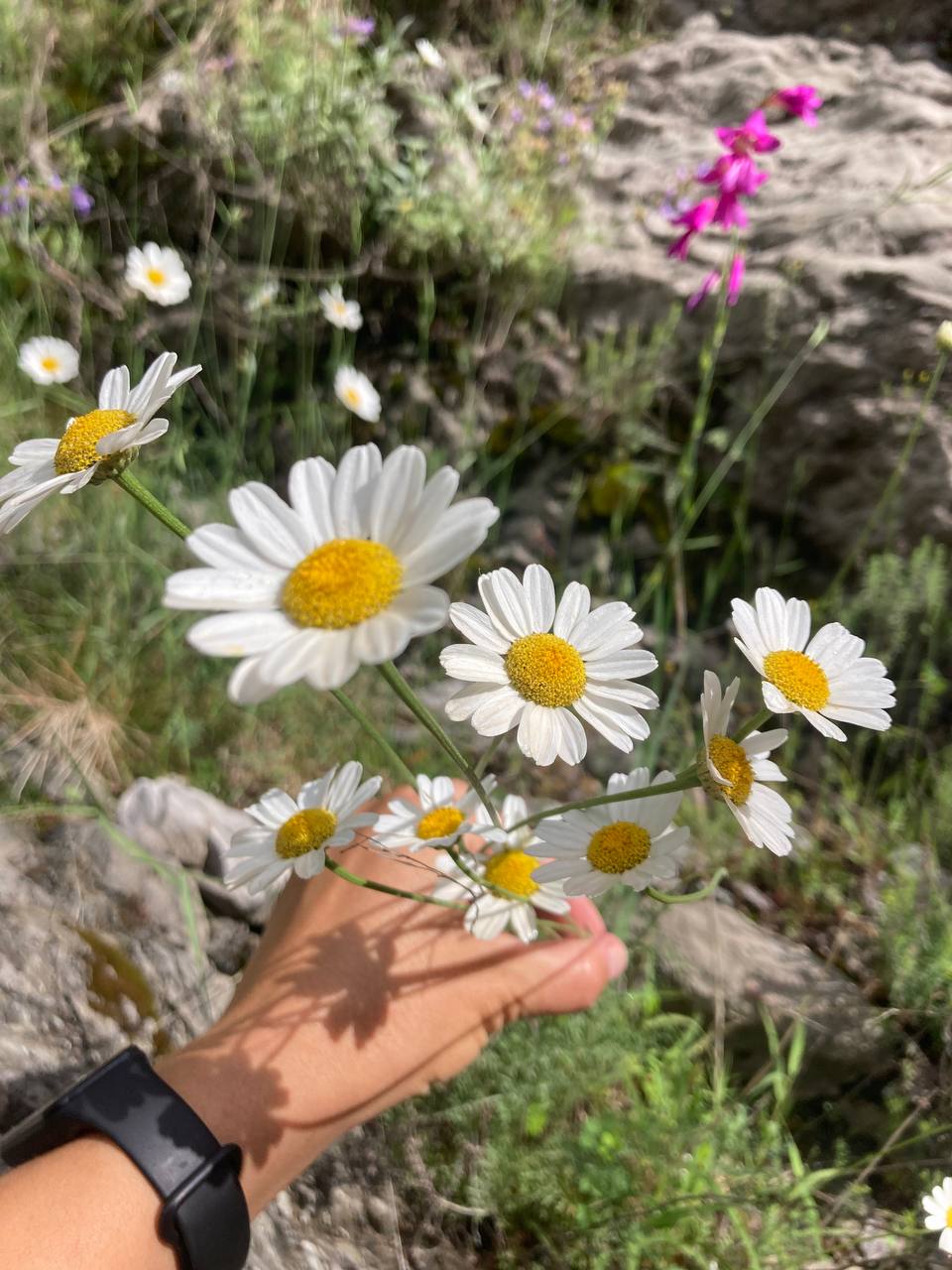 Background blur