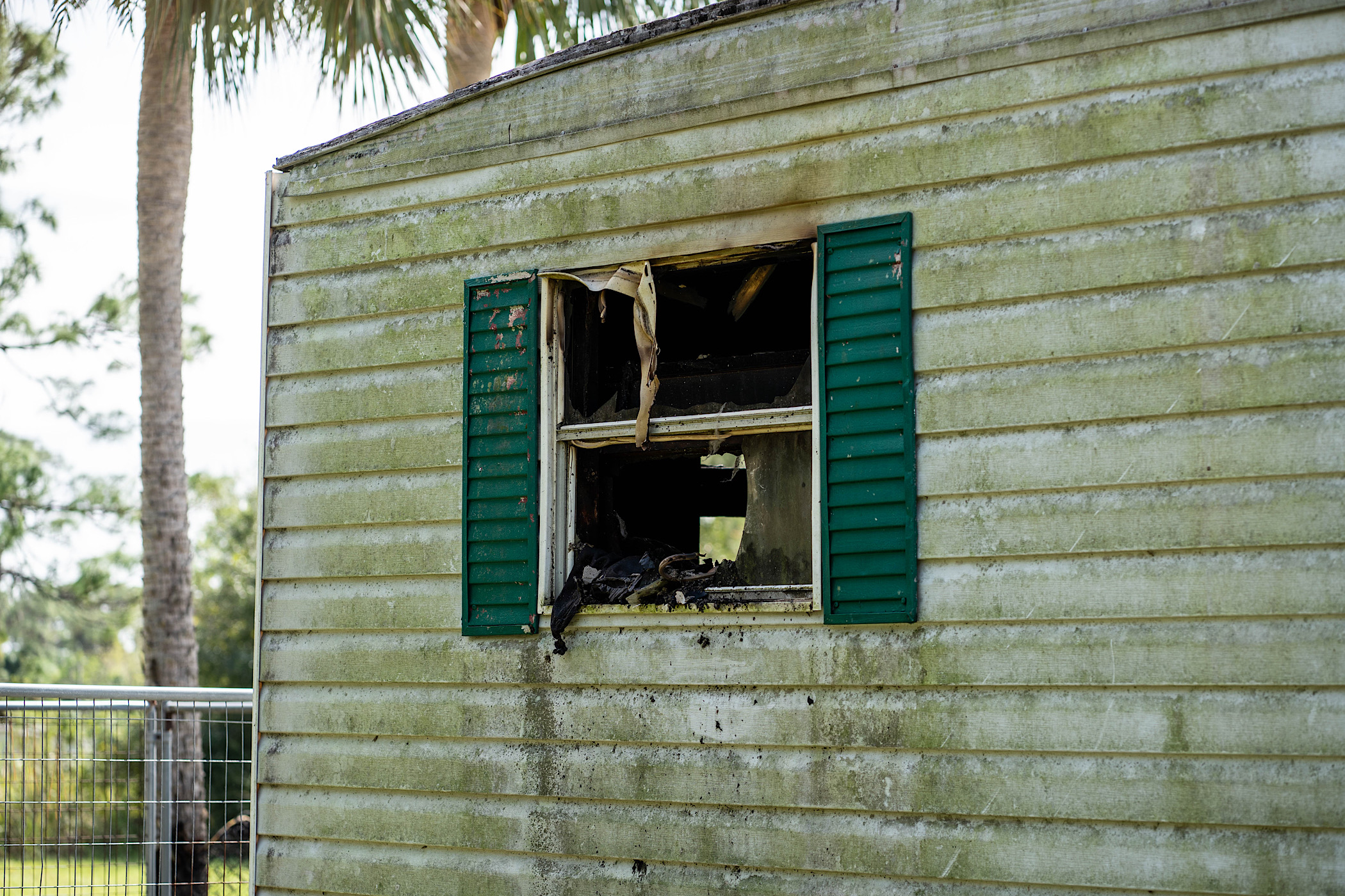 Two dogs dead after electrical fire sparks off Hart Rd in N