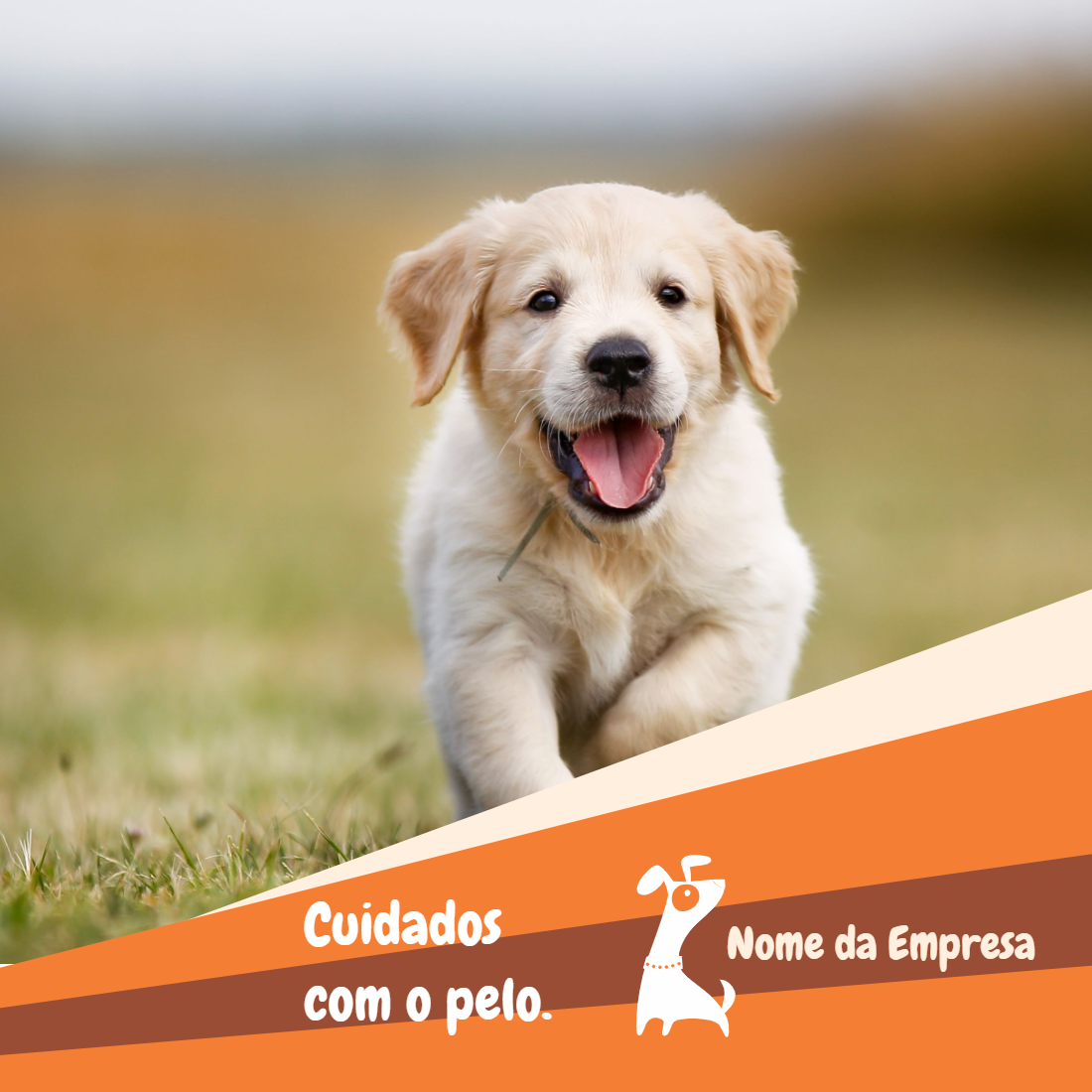 Post para Pet Shop com Filhote de Cão para Editar Online Post para Pet Shop com Filhote de Cão para Editar Online