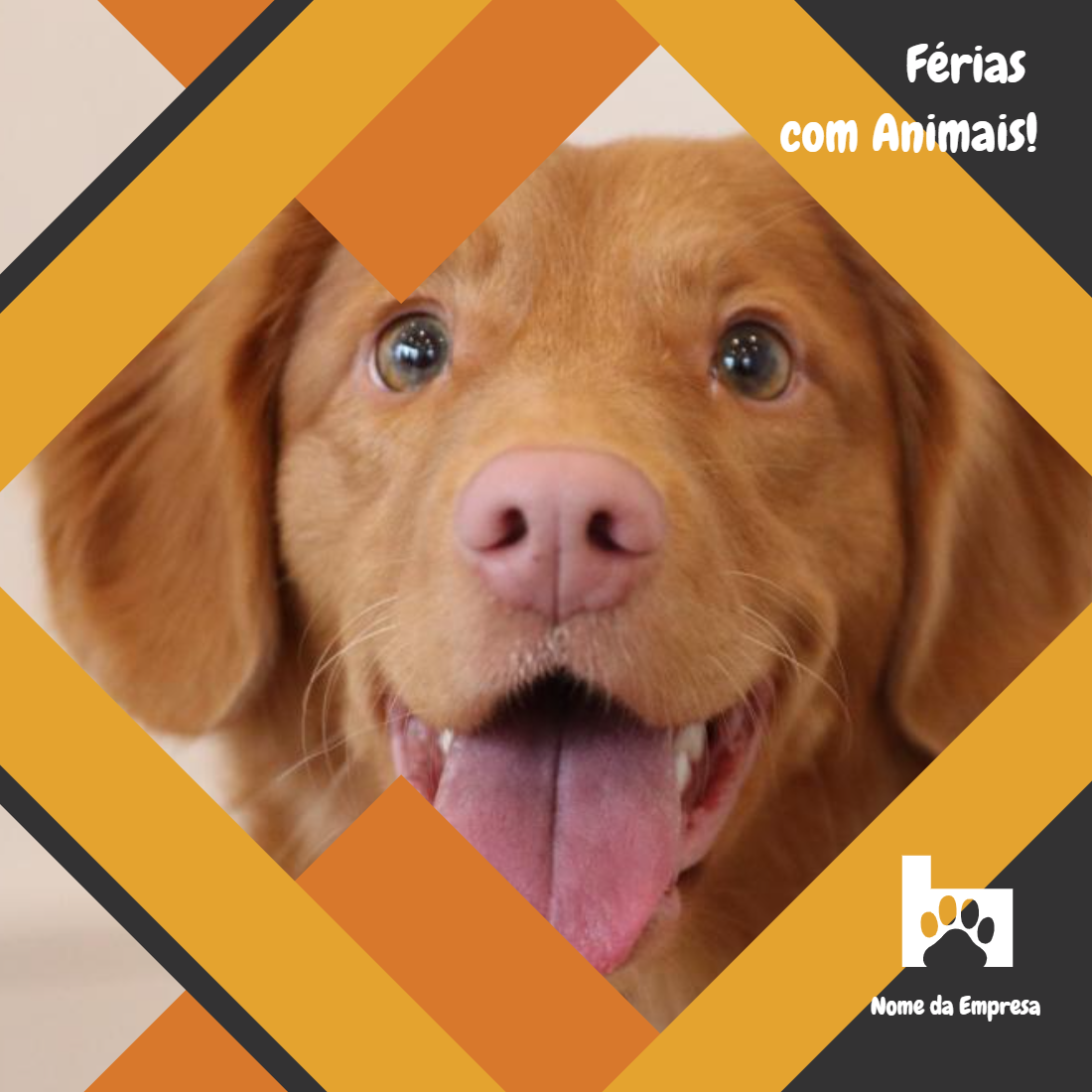 Post de Férias com Animais para Pet Shop Editável Online Post de Férias com Animais para Pet Shop Editável Online