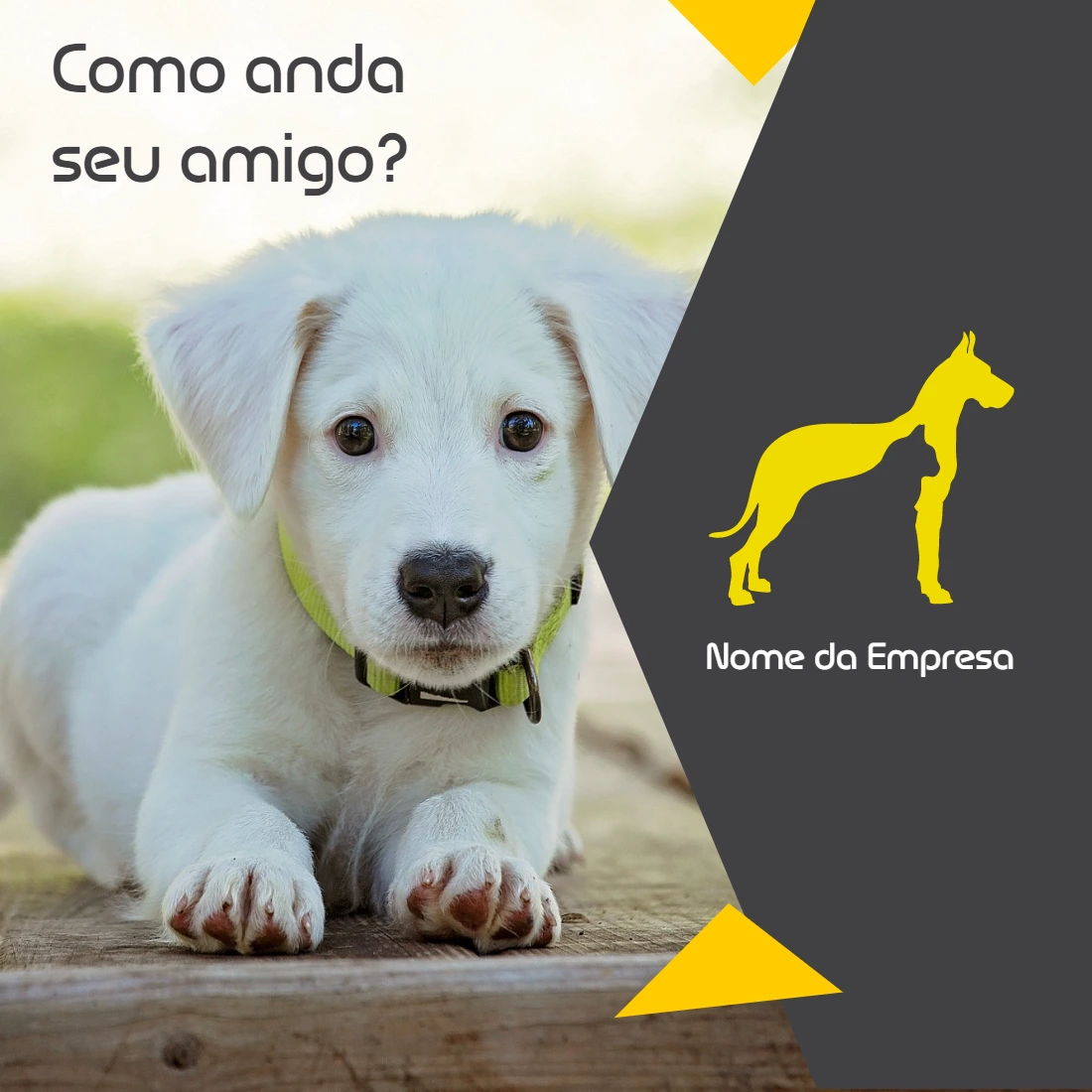 Post para Pet Shop e Veterinária com Cachorro para Editar Online