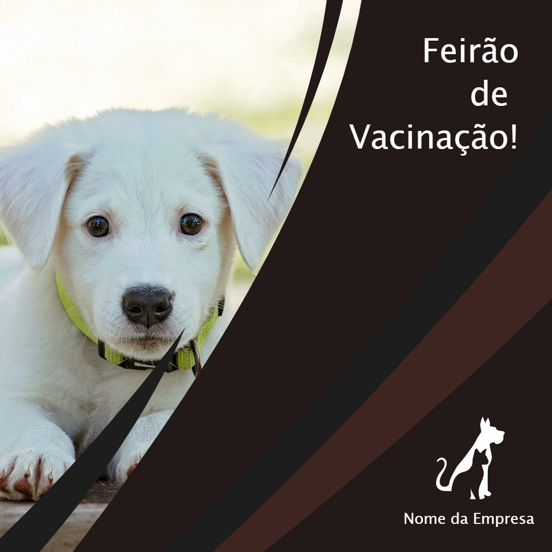 Post de Campanha de Vacinação Pet Shop para Editar Online