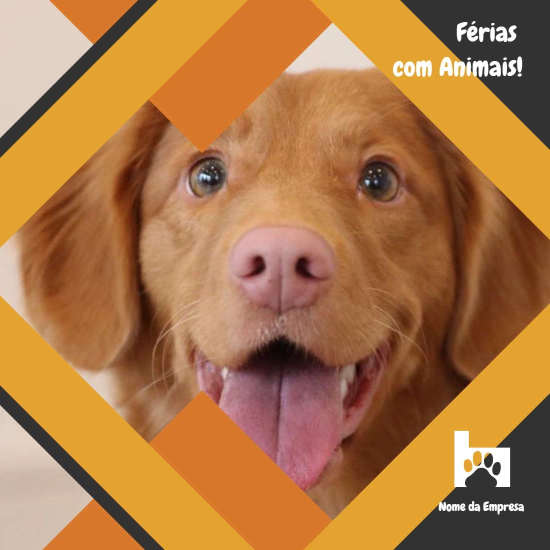 Post de Férias com Animais para Pet Shop Editável Online