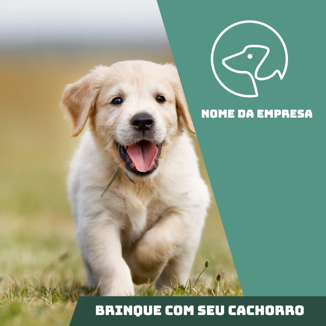 Arte Editável para Pet Shop com Cachorro para Editar Online