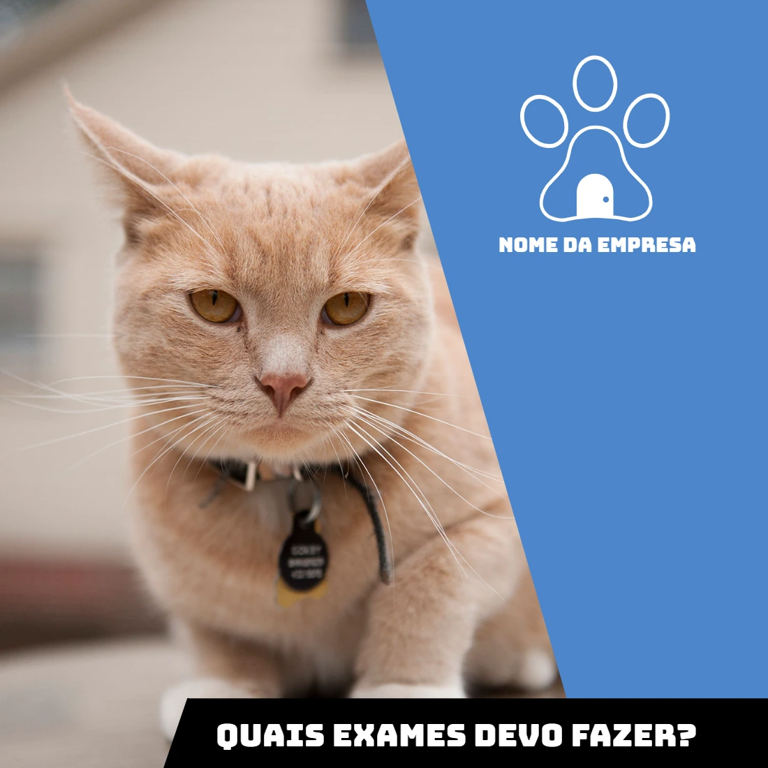 Arte Editável para Pet Shop sobre Exames Veterinários