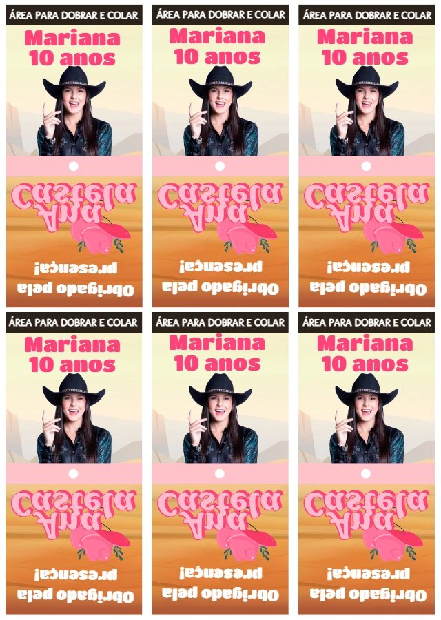 Capa para Pirulito Festa Boiadeira para Editar Online