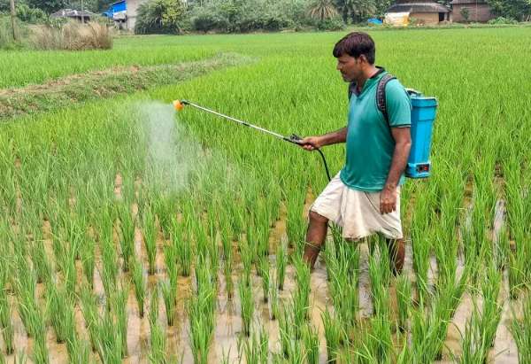 నీటి-స్మార్ట్ వ్యవసాయం: 'పెర్ డ్రాప్ మోర్ క్రాప్' (PDMC) పథకం విజయం