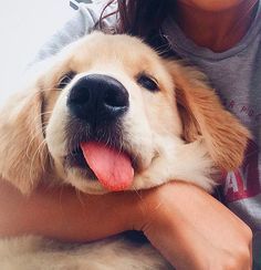 Zac