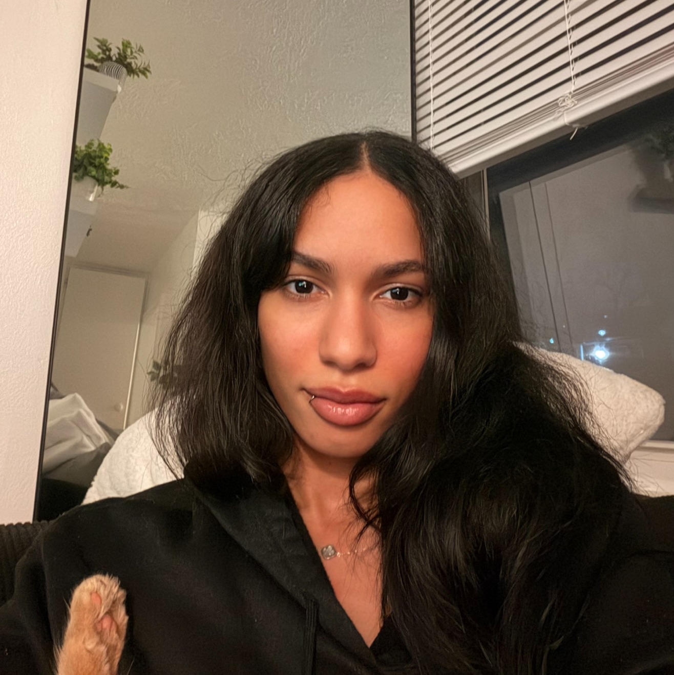 Jynedrii L. mercedes., UGC creator
