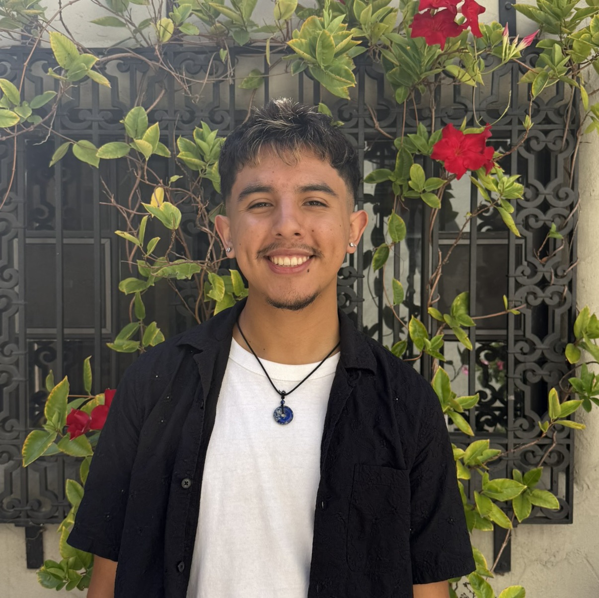 Mario Anguiano, UGC creator