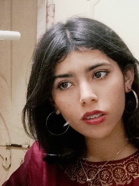 Wajeehah Khan, UGC creator