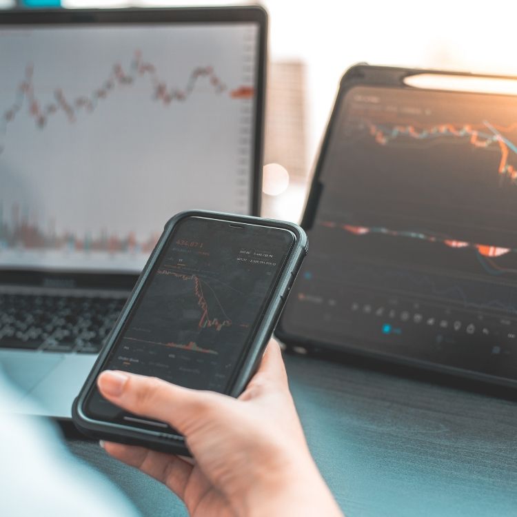 Darya Shaterloo(Chief Executive Officer)