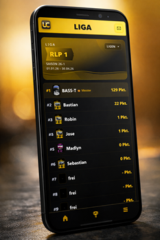Liga System