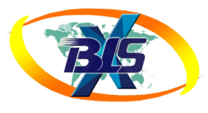 BLSX Limited BLSX Limited Logo