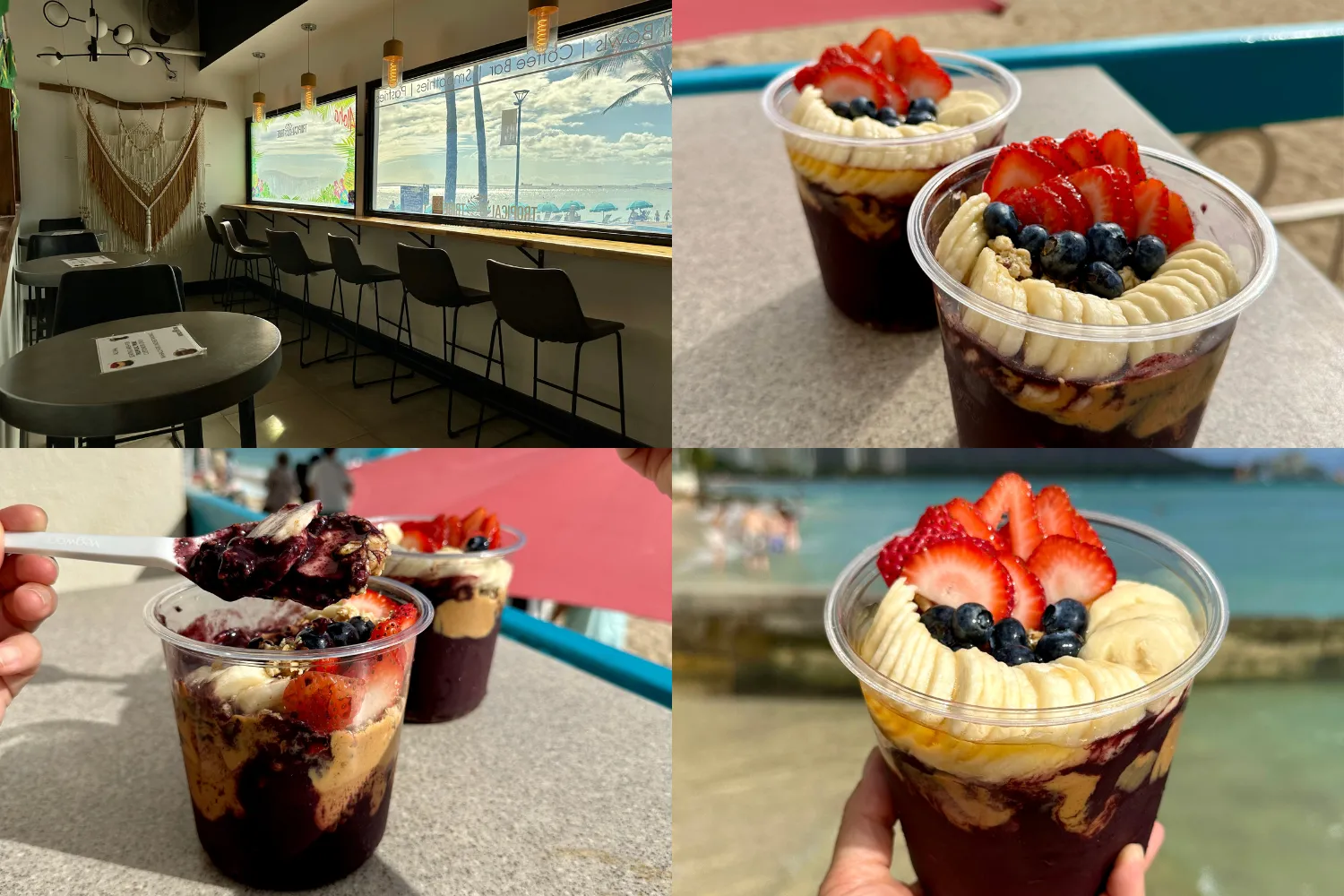 Tropical Tribe Bowl (Large) $13.85, Peanut Butter $0.85