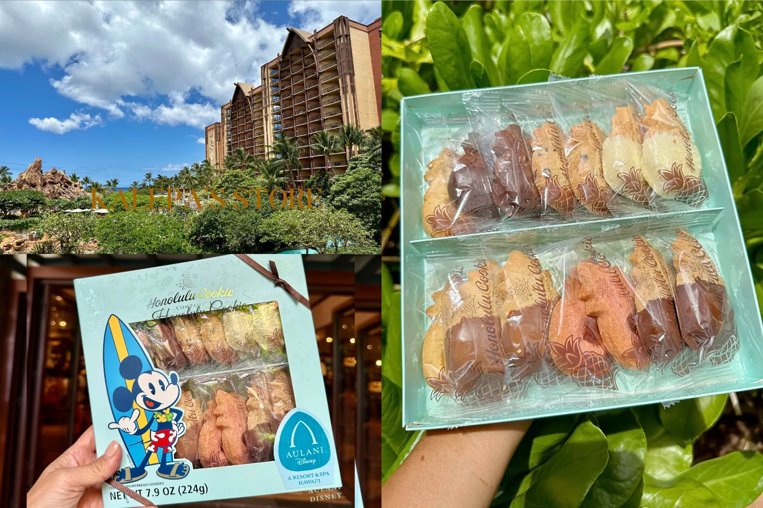 Aulani Honolulu Cookie Company Box $25