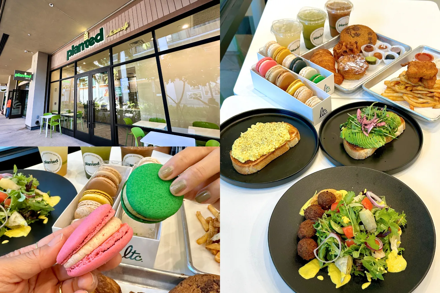 Macaron $3.50 each, Falafel salad $13.99