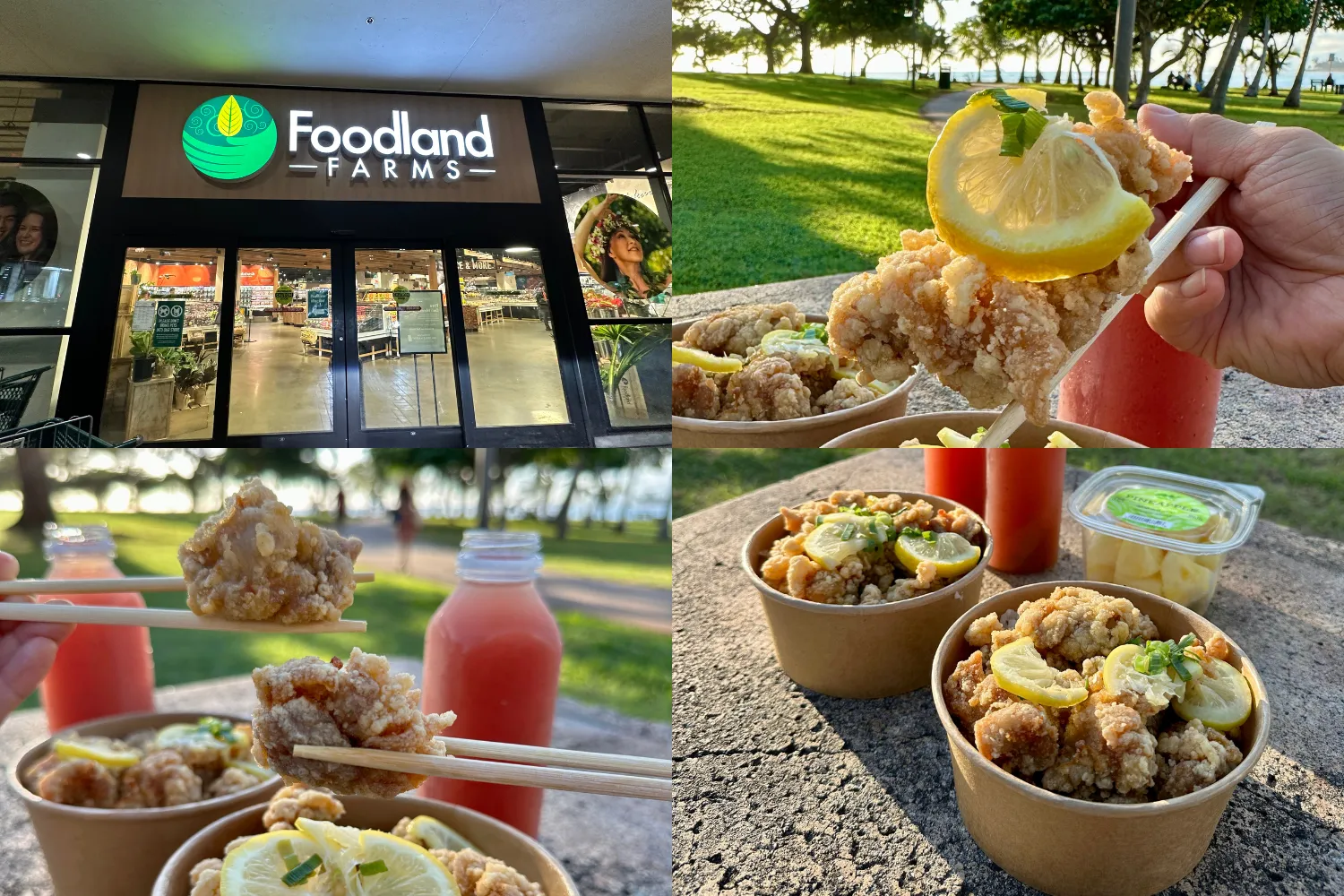 Kara-oke bowl(Original) $8.99, Water melon juice $3.99