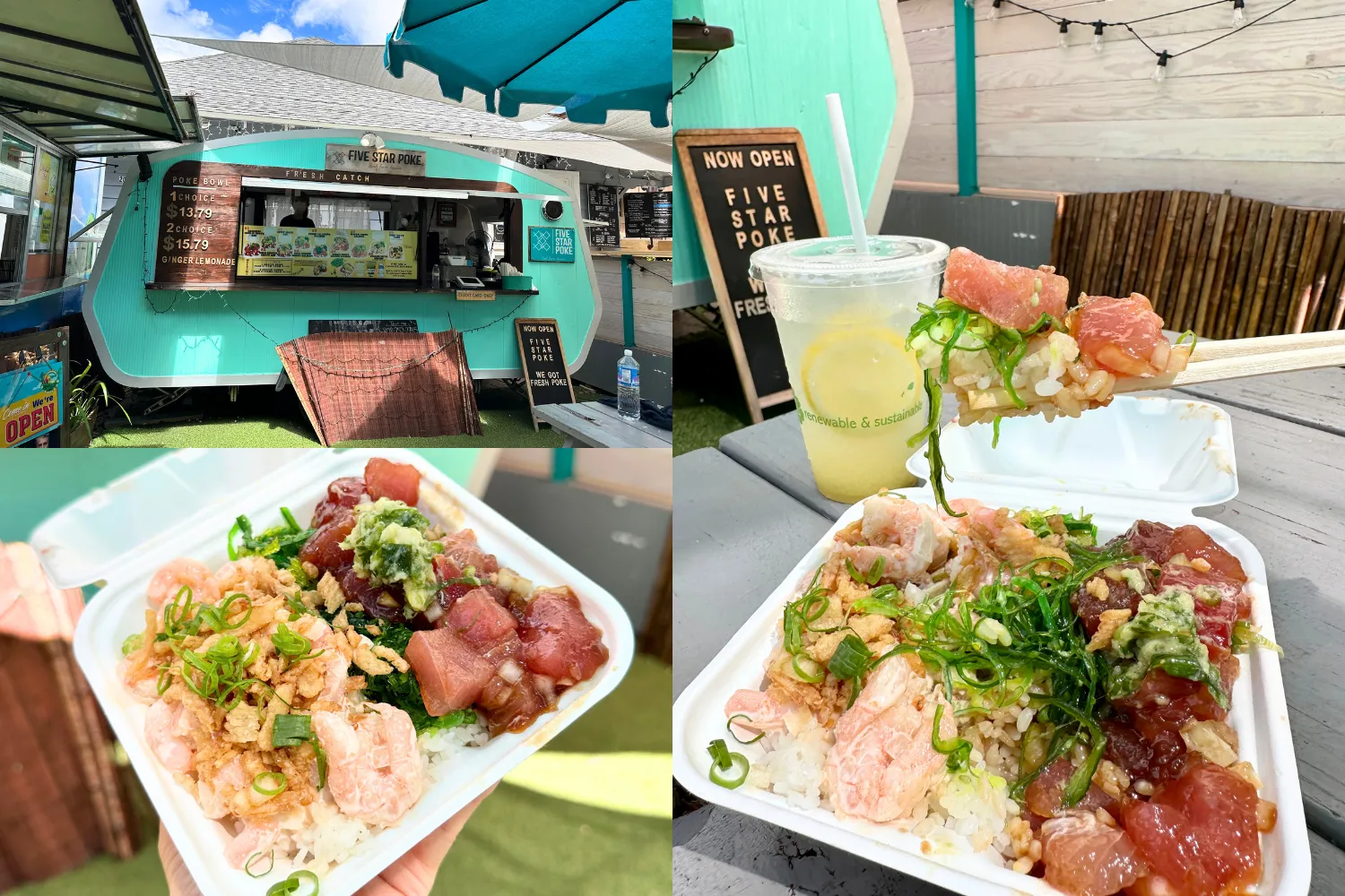 2 Choice $16.95 (Cold ginger Shoyu Ahi, Sesami Mayo Shrimp)