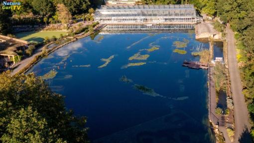 naturagart-unterwasserpark-tauchen-sichtweite-hoehlentauchen-st...a.jpg