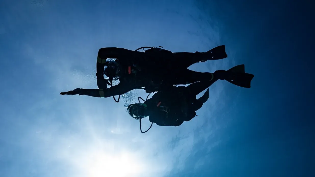 Zwei Taucher als Silhouetten vor der Sonne, von unten gegen die Wasseroberfläche fotografiert.