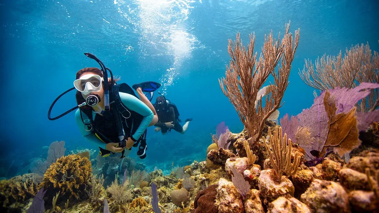 Taucherin schwebt über einem bunten Korallenriff, dahinter ein zweiter Taucher im blauen Wasser.