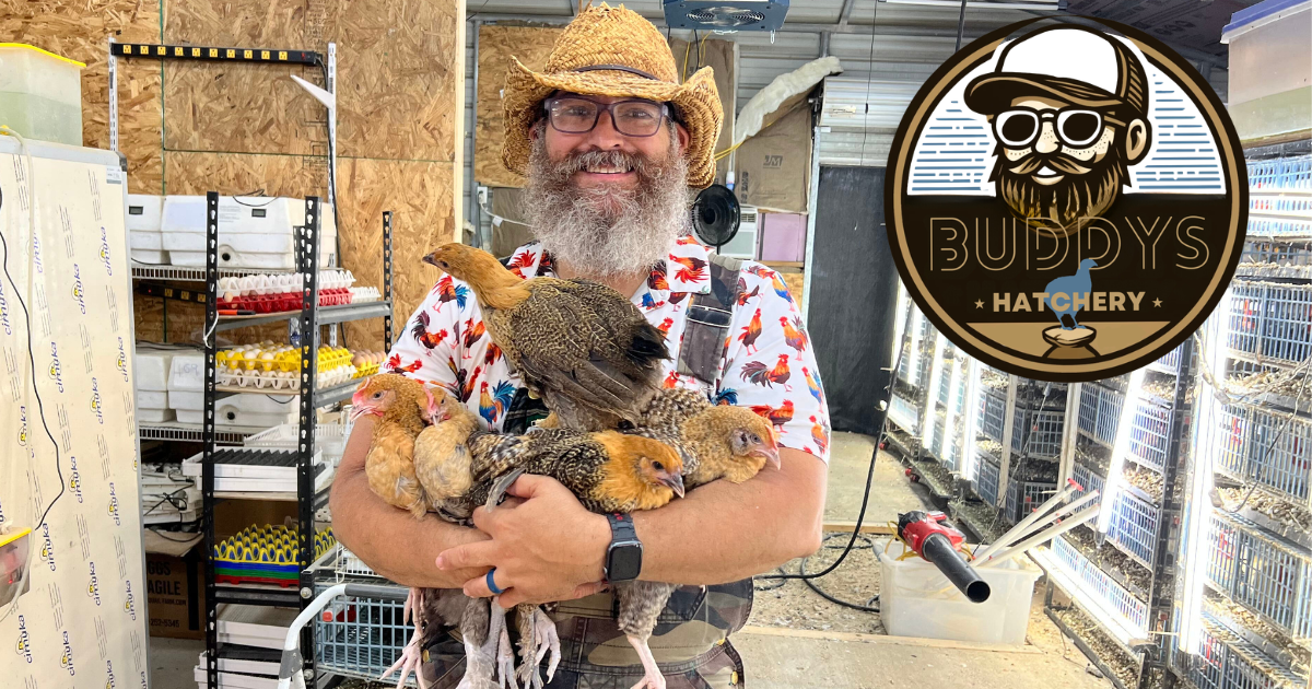 Customer Success Story: How Buddy’s Hatchery Hatched Over $20,000 in Sales in Just 6 Months