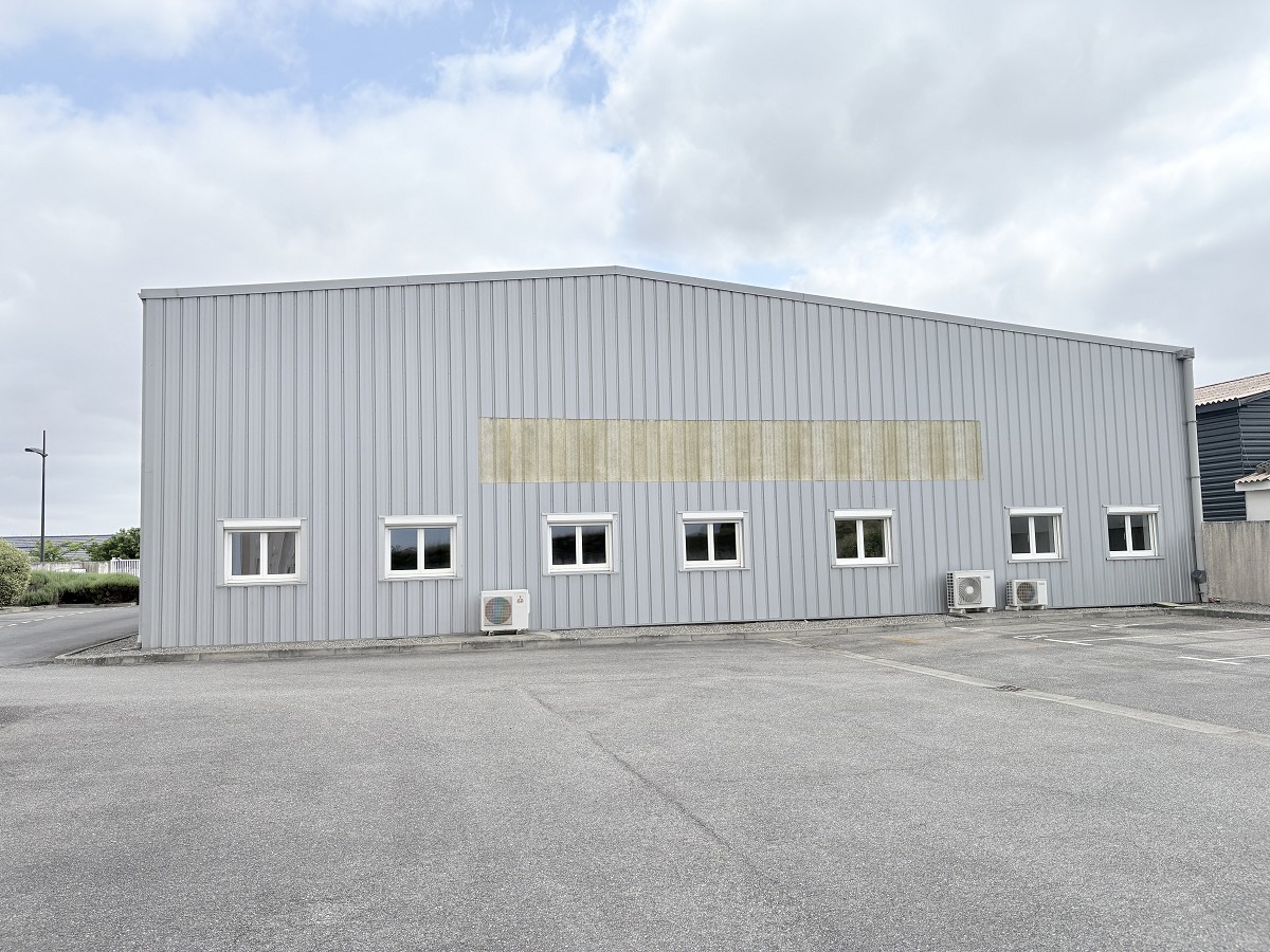 Vente de murs libres Entrepôt 940 m² Plaisance-du-Touch - 2