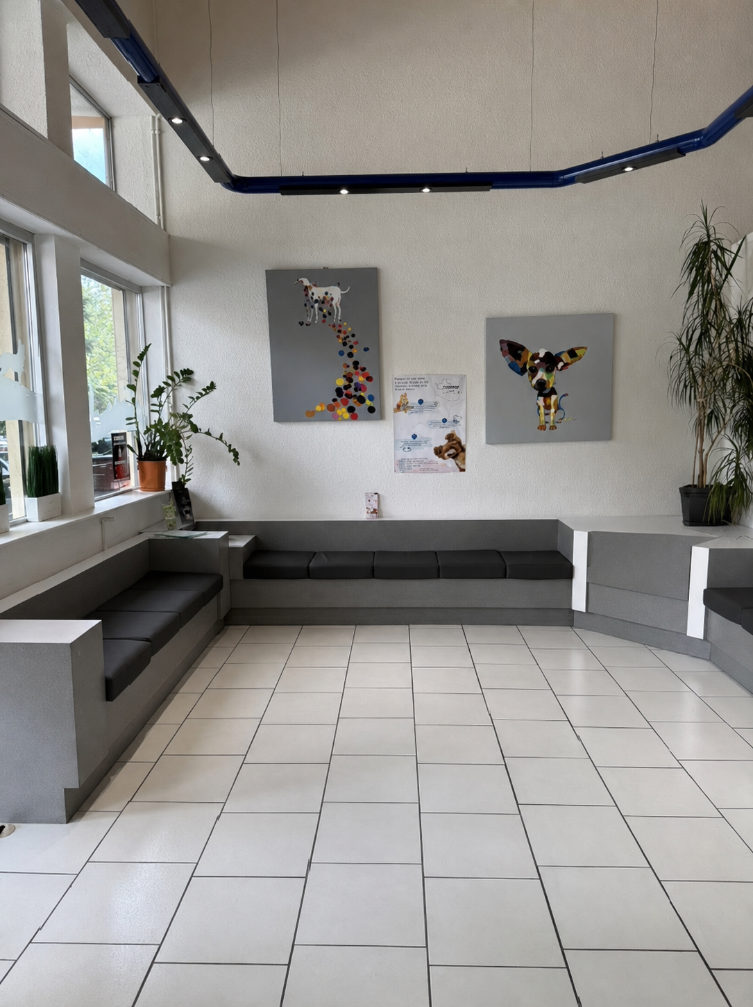 Vente de murs libres Local commercial 311 m² Mulhouse - 2