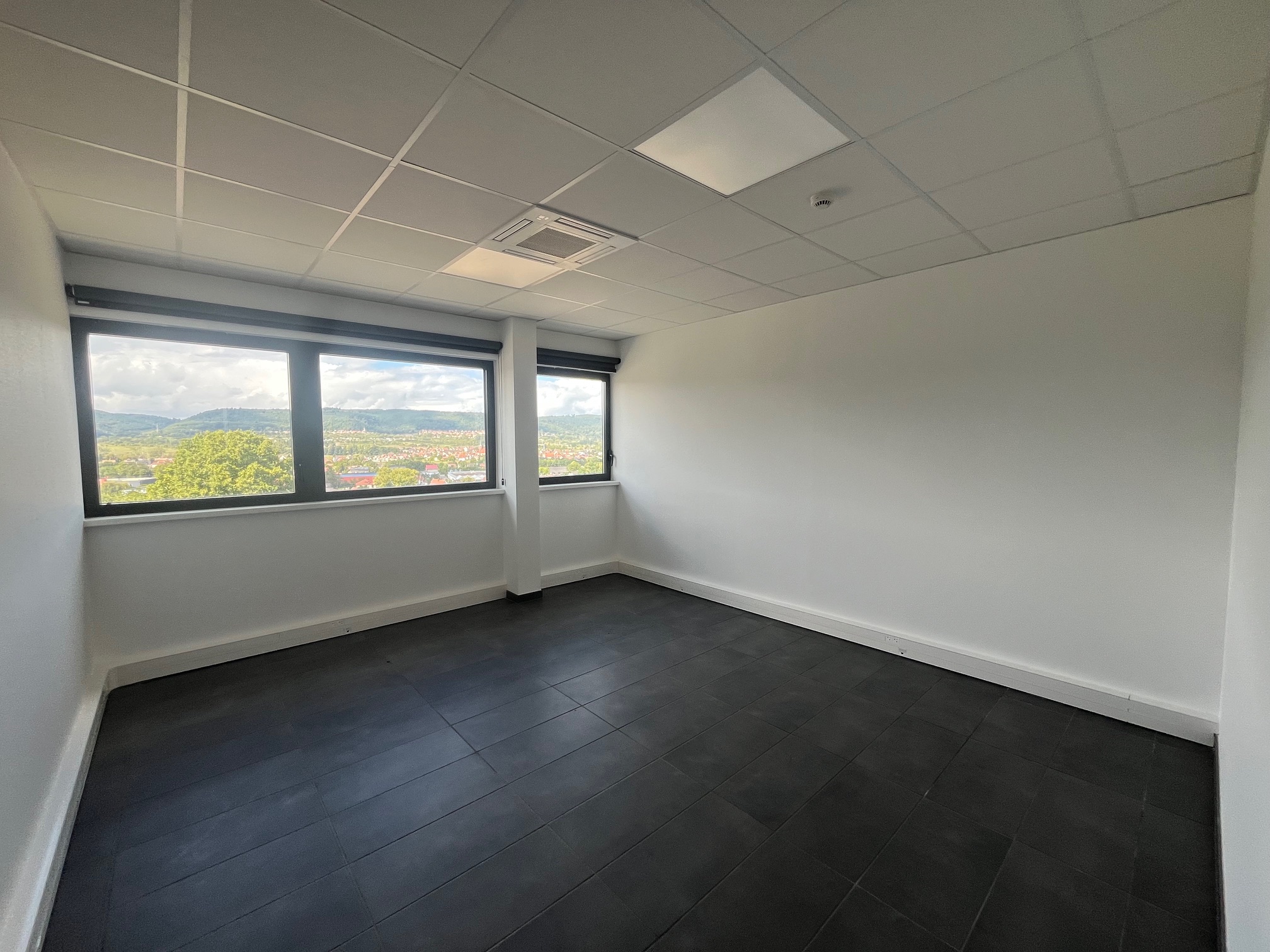 Location Entrepôt 6 425 m² Monswiller - 7