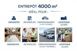 Location Entrepôt 4 017 m² Anse - 2